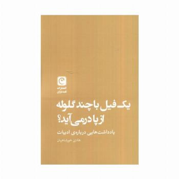 یک فیل با چند گلوله از پا در می آید؟ (یادداشت هایی درباره ادبیات)