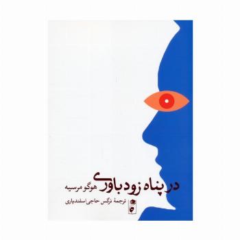 در پناه زودباوری