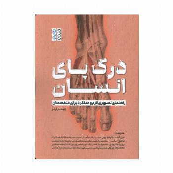 درک پای انسان (راهنمای تصویری فرم و عملکرد برای متخصصان)