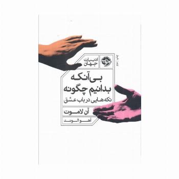 بی آنکه بدانیم چگونه (تکه هایی در باب عشق)