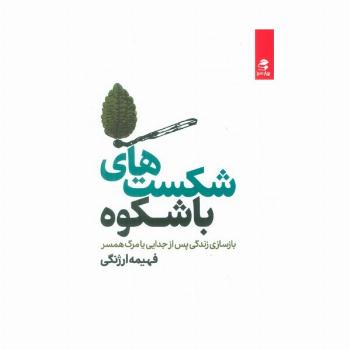 شکست های باشکوه (بازسازی زندگی پس از جدایی یا مرگ همسر)