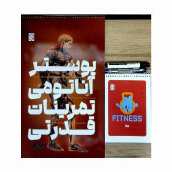 پوستر آناتومی تمرینات قدرتی (همراه با ماژیک،خودکار،دفترچه برنامه ریزی)،(سیمی)