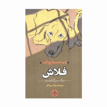 فلاش (یک سرگذشت)