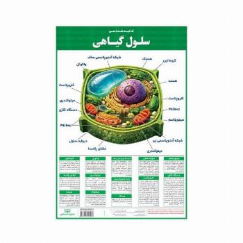 پوستر وایت بردی کالبد شناسی سلول گیاهی