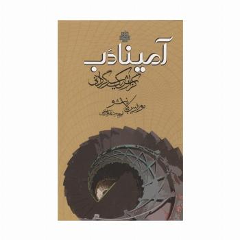 آمینادب (گزارش 1 سرگردانی)