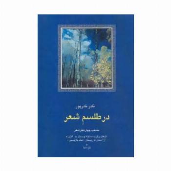 در طلسم شعر:منتخب چهار دفتر شعر (شعر معاصر ایران13)