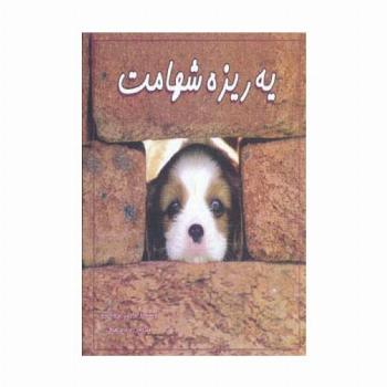 یه ریزه شهامت