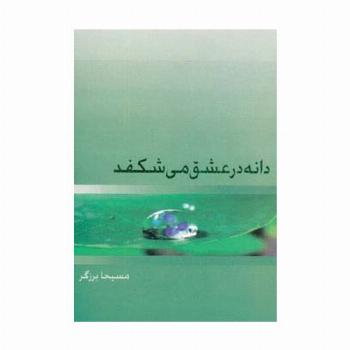 دانه در عشق می شکفد