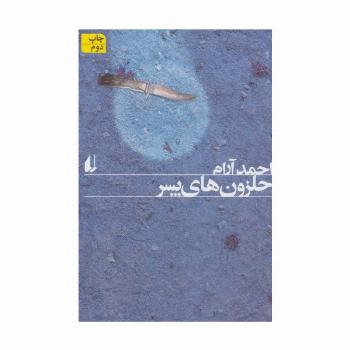 حلزون های پسر (ادبیات امروز،رمان101)