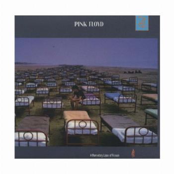 لغزش آنی در عقل (Pink Floyd،A Momentary Lapse of Reason)،(سی دی صوتی)،(باقاب)