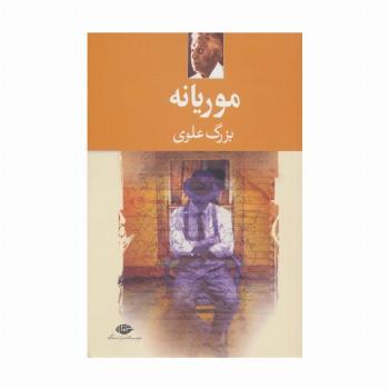 موریانه
