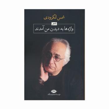 واژه ها به دیدن من آمدند