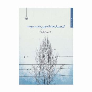 گنجشک ها دانه چین دامنت بودند (مجموعه شعر)