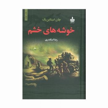خوشه های خشم