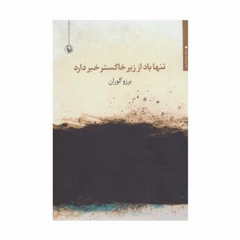 تنها باد از زیر خاکستر خبر دارد (مجموعه شعر)