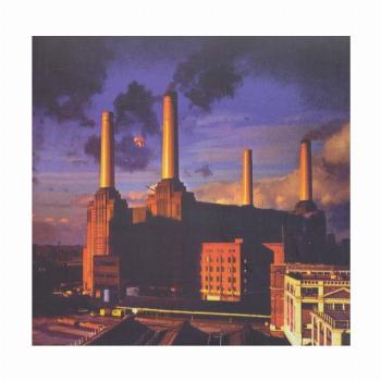 حیوانات (Pink Floyd،Animals)،(سی دی صوتی)
