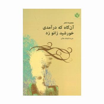 آن گاه که درآمدی خورشید زانو زد (مجموعه شعر)