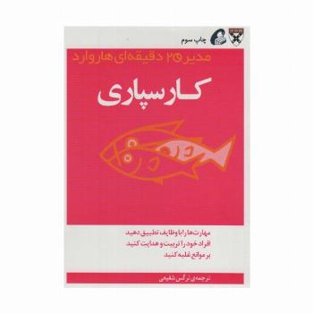 مدیر 20 دقیقه ای (کارسپاری)