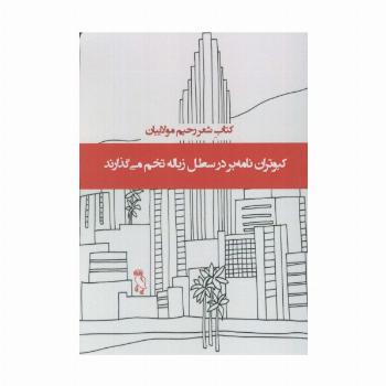 کبوتران نامه بر در سطل زباله تخم می گذارند (کتاب شعر)