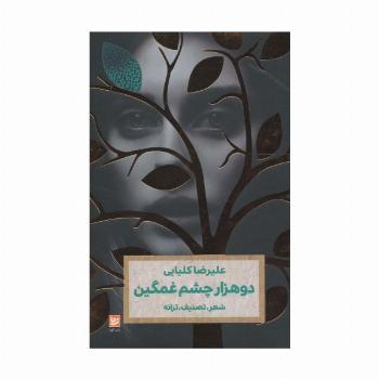 دو هزار چشم غمگین (شعر،تصنیف،ترانه)