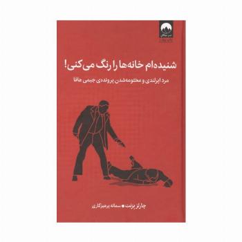 شنیده ام خانه ها را رنگ می کنی! (مرد ایرلندی و مختومه شدن پرونده ی جیمی هافا)
