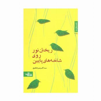 ریختن نور روی شاخه های پایین (داستان ما،رمان ایرانی19)