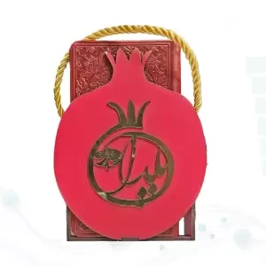 حافظ پالتویی چرم با ساک طرح انار