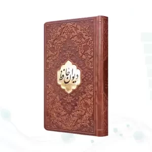 حافظ پالتویی چرم با پلاک طلایی